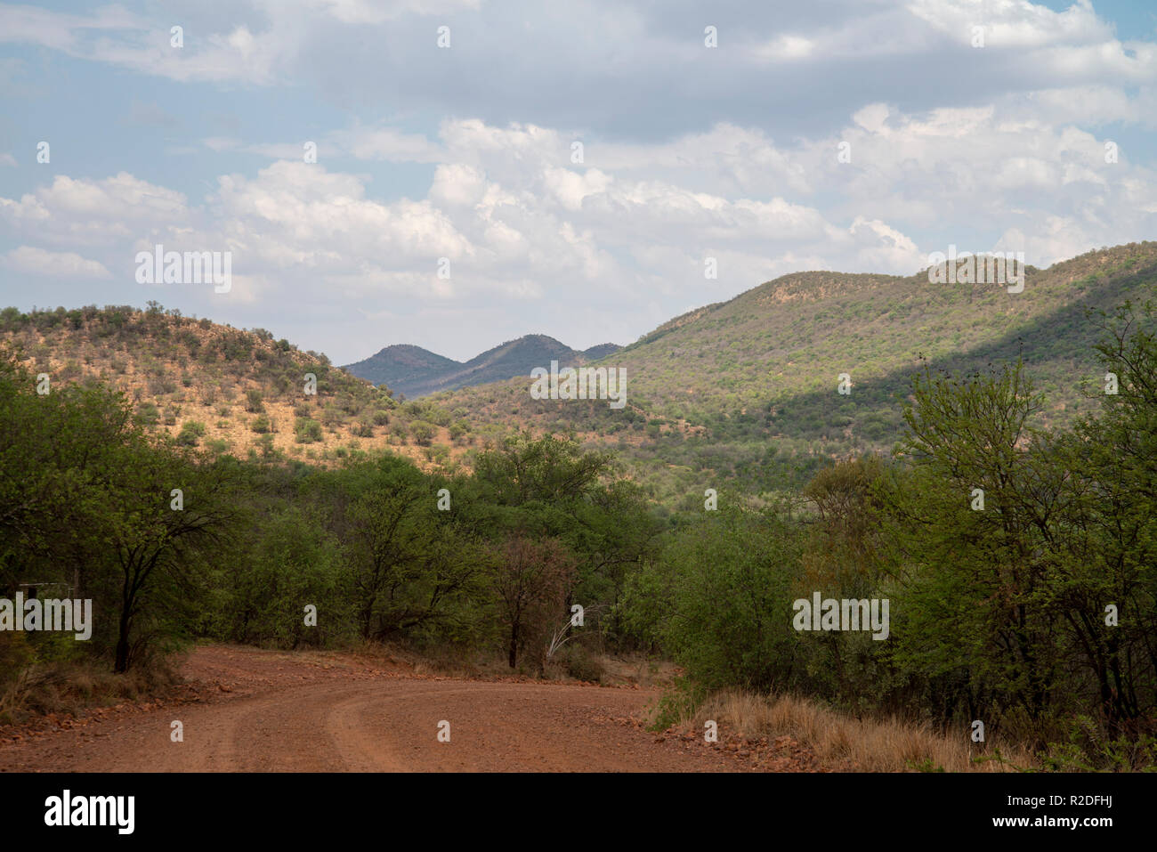 Vredefort, Südafrika, 19. November 2018. Die Landschaft im Inneren der Vredefort Dome, dem größten verifiziert Einschlagskrater auf der Erde, im Freistaat. Credit: Eva-Lotta Jansson/Alamy leben Nachrichten Stockfoto