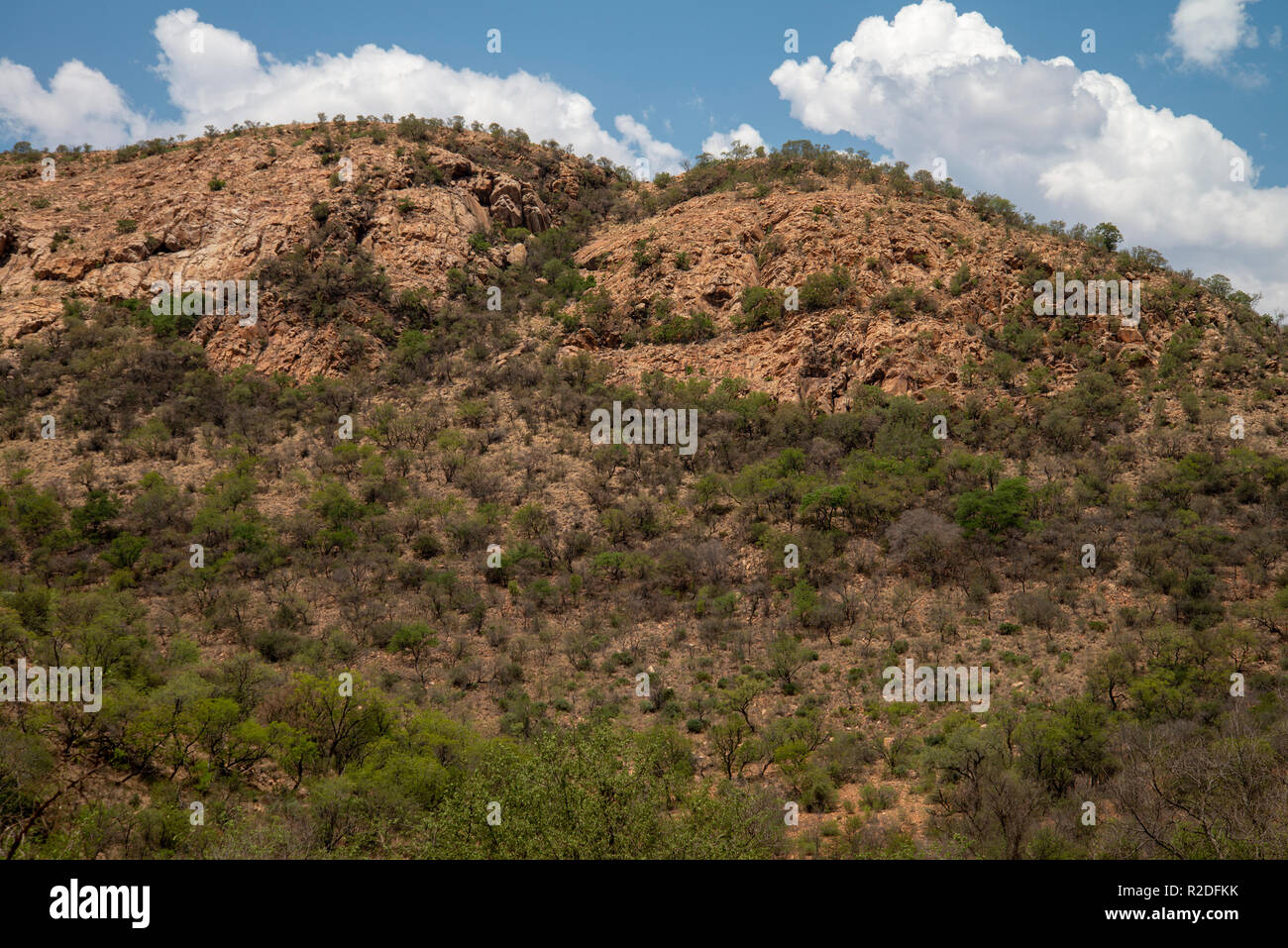 Vredefort, Südafrika, 19. November 2018. Die Landschaft im Inneren der Vredefort Dome, dem größten verifiziert Einschlagskrater auf der Erde, im Freistaat. Credit: Eva-Lotta Jansson/Alamy leben Nachrichten Stockfoto