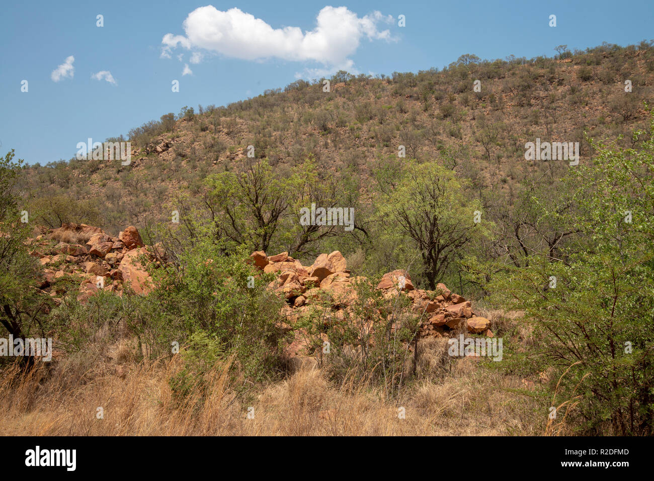 Vredefort, Südafrika, 19. November 2018. Die Landschaft im Inneren der Vredefort Dome, dem größten verifiziert Einschlagskrater auf der Erde, im Freistaat. Credit: Eva-Lotta Jansson/Alamy leben Nachrichten Stockfoto