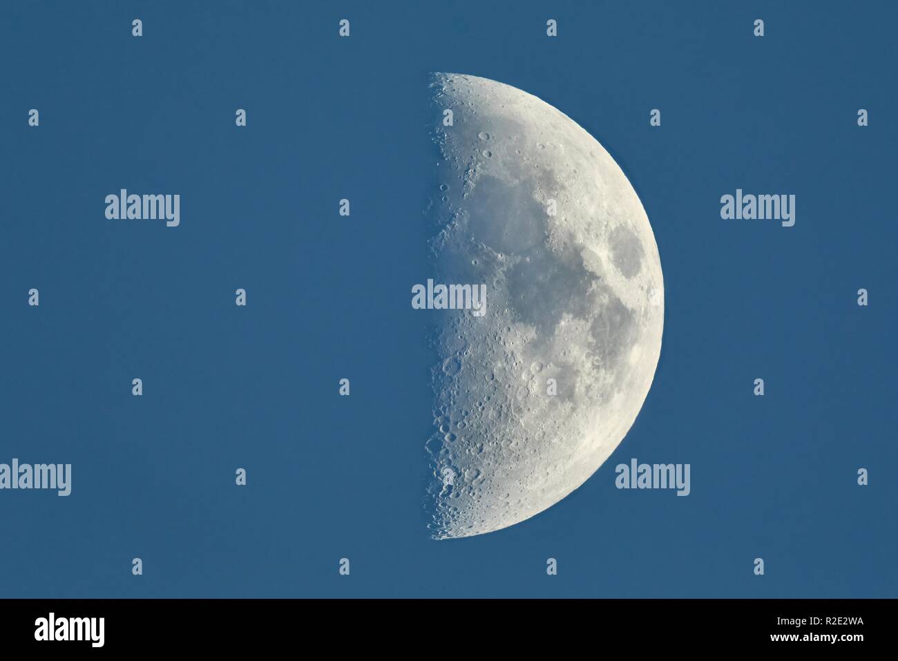 Mond im ersten Quartal detaillierte closeup Stockfoto