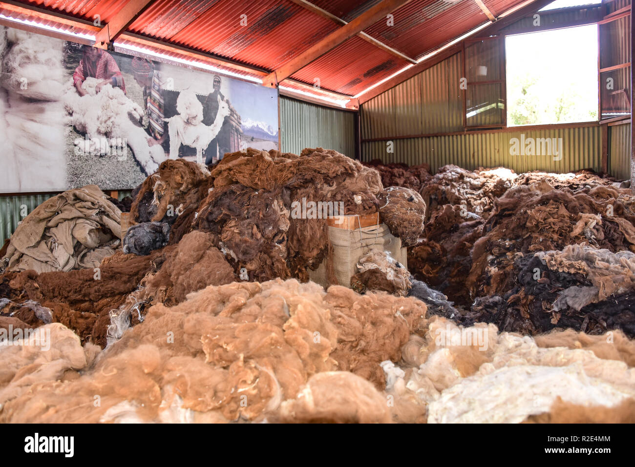 Arequipa, Peru - Oktober 7, 2018: Stapel von raw Alpaka Wolle, die auf ihre Verarbeitung warten für den Einsatz in der Textilindustrie Stockfoto