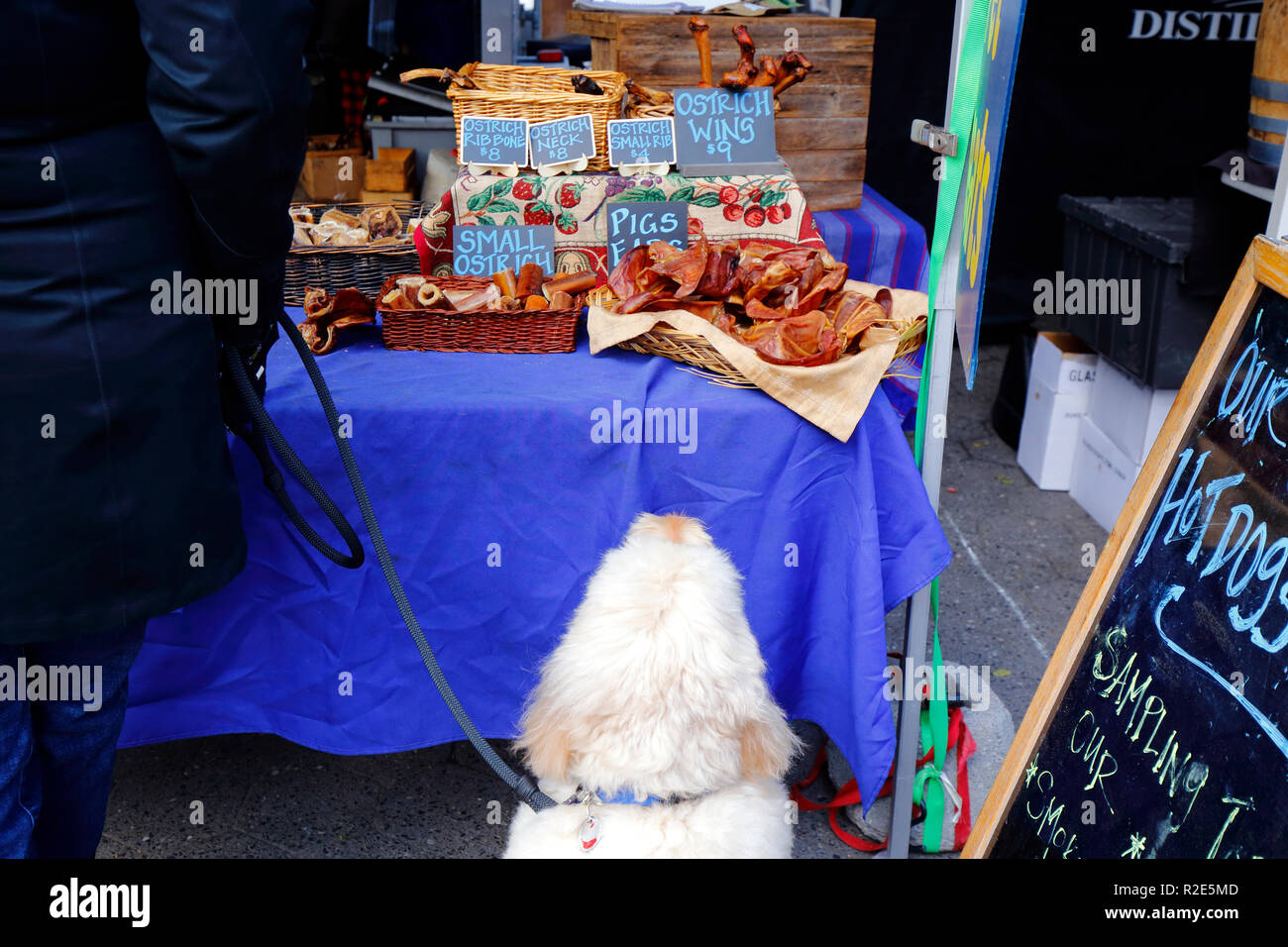 Ein Hund starrt auf einem Bauernmarkt in nyc auf eine Ausstellung von handwerklichen Hundefreuden. Ein Hund bei einem New York City Greenmarket bei einem Hundeverkäufer Stockfoto