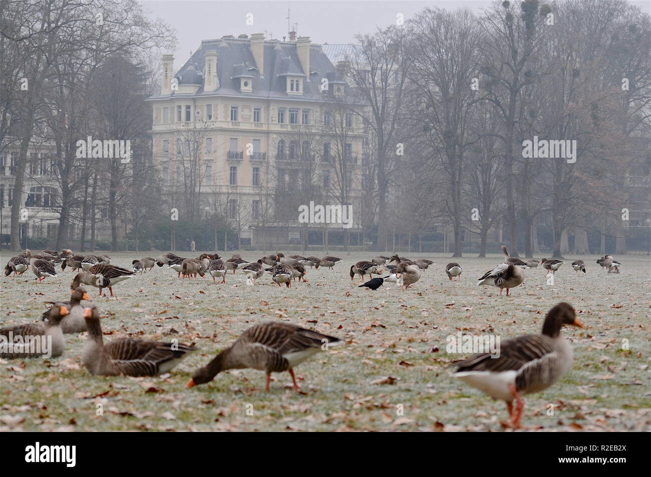 Schwere Kältewelle hits Lyon, Frankreich Stockfoto