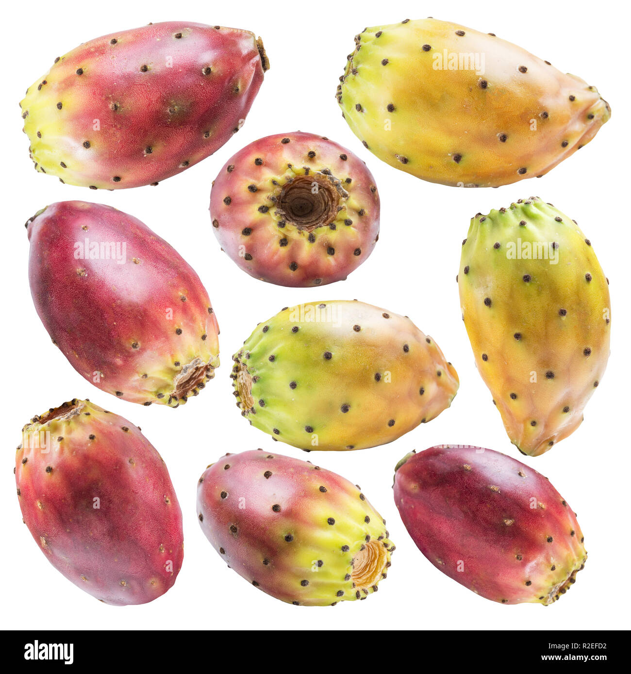 Feigenkakteen oder opuntia Früchte Sammlung auf weißem Hintergrund. Datei enthält Freistellungspfaden. Stockfoto