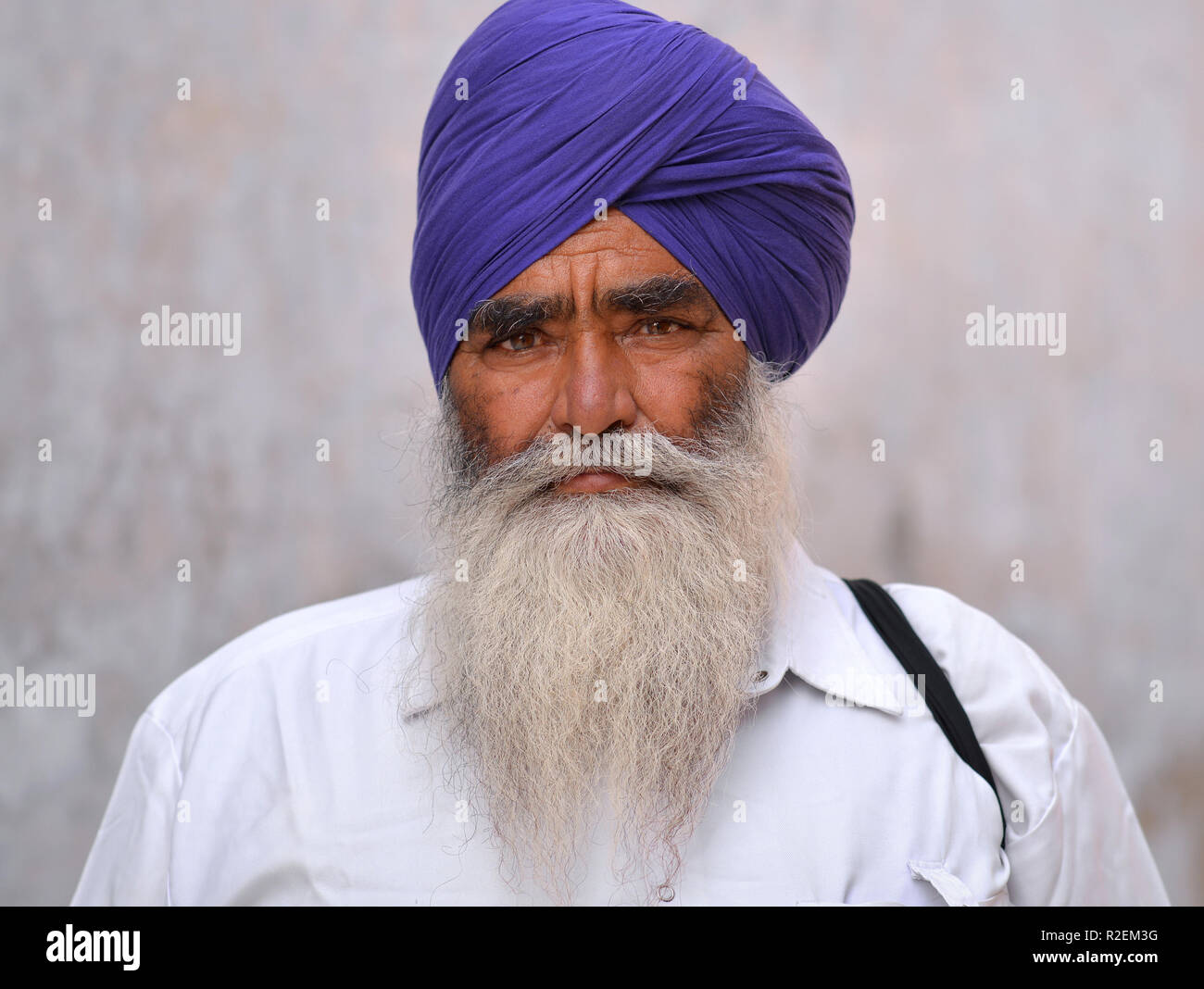 Alten indischen Sikh Mann mit blauen Turban (Dastar) posiert für die Kamera. Stockfoto
