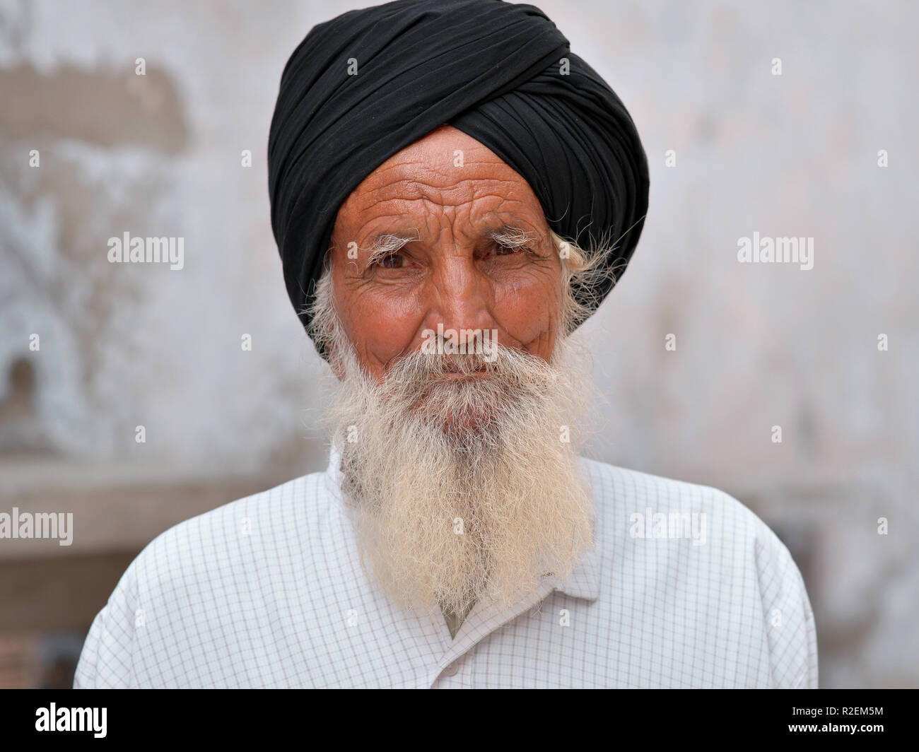 Alten indischen Sikh Mann mit schwarzen Turban (Dastar) posiert für die Kamera. Stockfoto