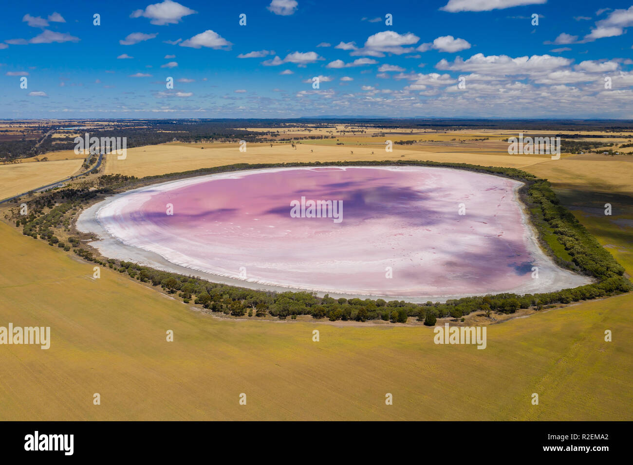 Luftbild von Rosa See in Australien Stockfoto