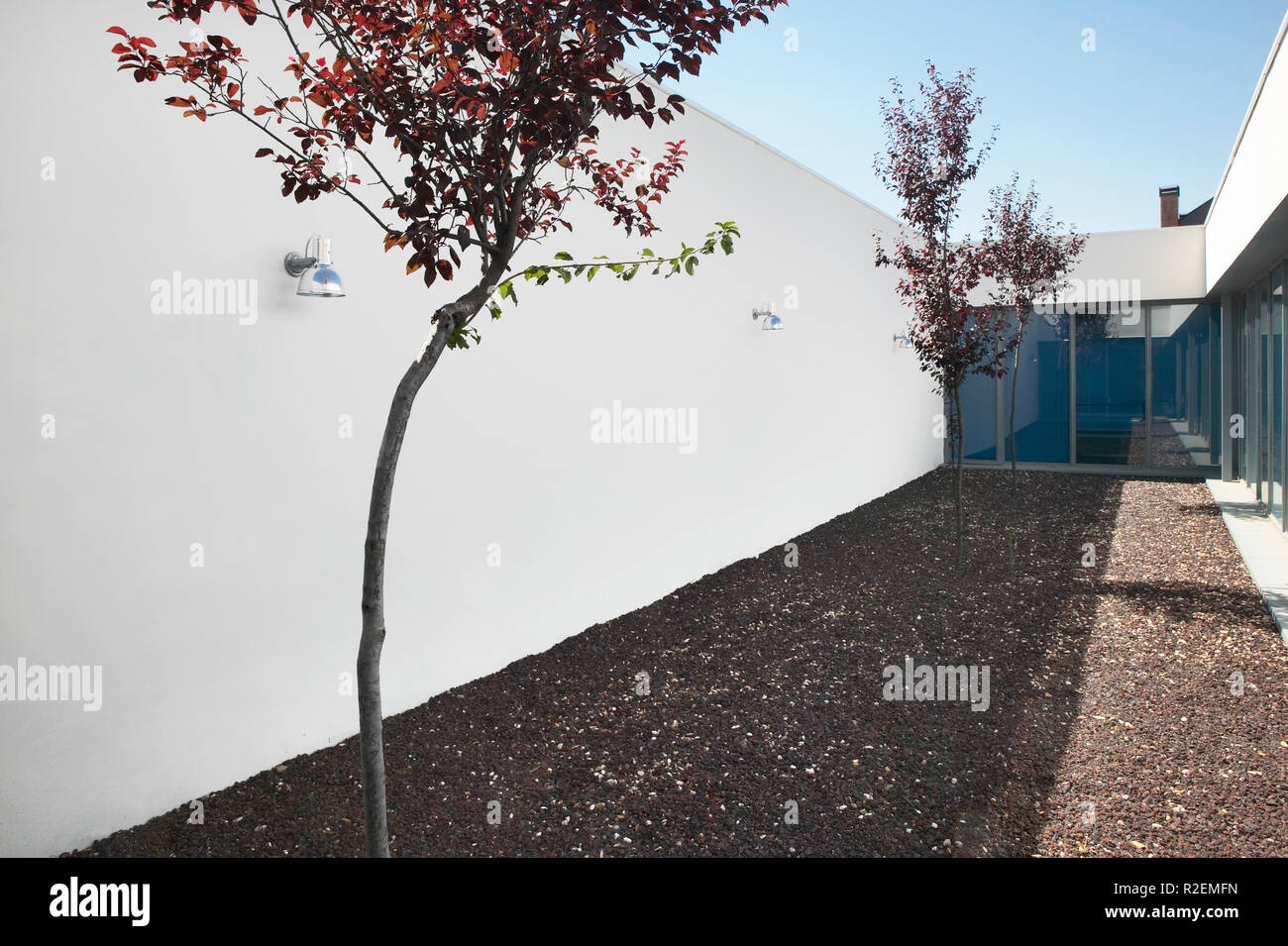 Moderne Architektur im minimalistischen Stil Garten mit Bäumen. Horizontale Stockfoto