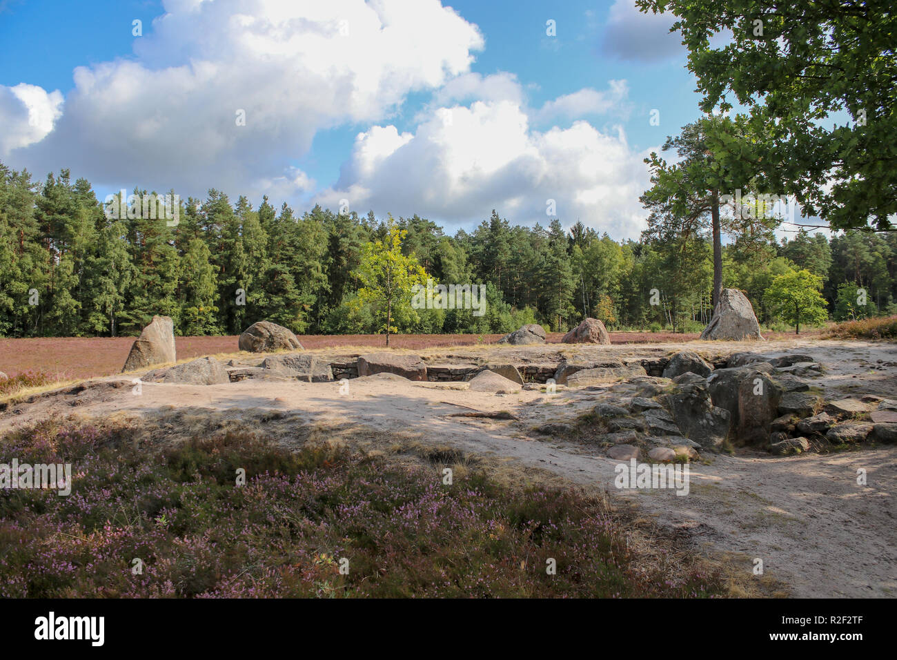 Es war mein erster Spaziergang durch die Heide und das Gefühl war unbeschreiblich intensiv. Eine Welt ohne Farben wäre nicht eine Welt sein. Stockfoto