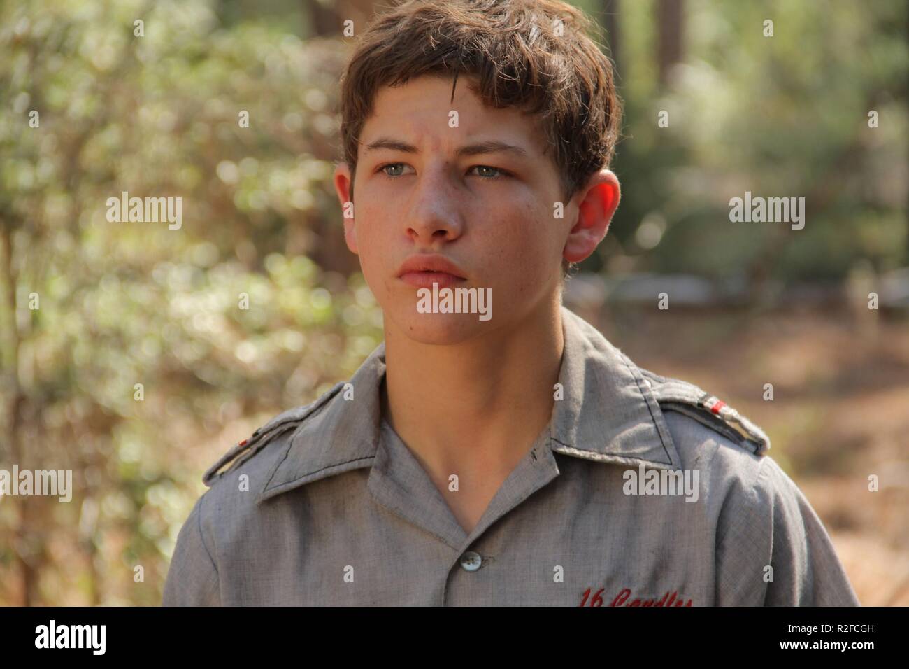 Joe-Jahr: 2013 USA Regisseur: David Gordon Green Tye Sheridan Stockfoto