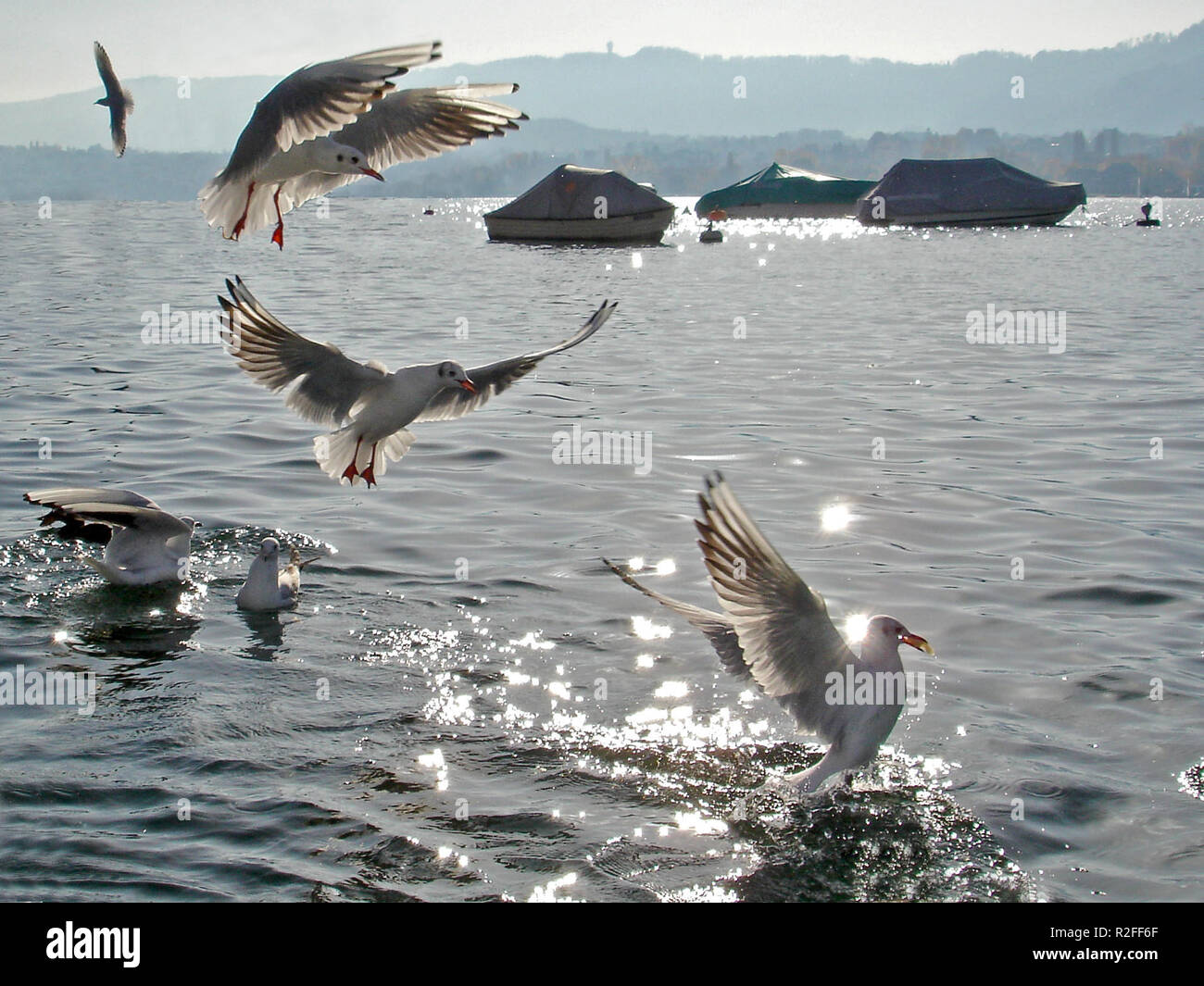 Ansatz Stockfoto