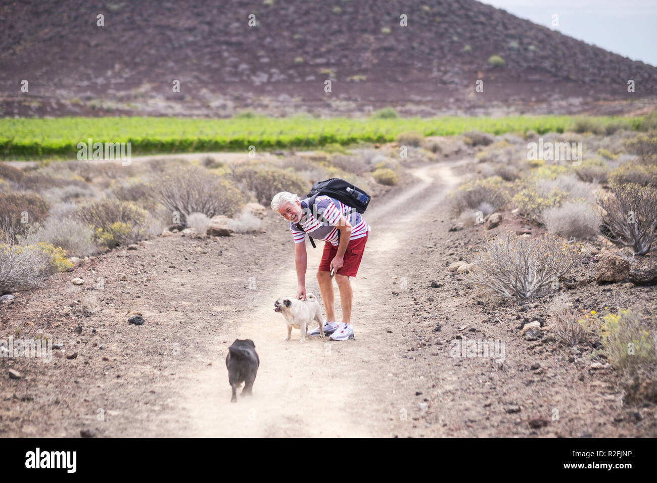 Senior kaukasischen Mann Spaß haben und einem Trekking zu Fuß in einem Pfad zwischen Berg und Weinbergen mit seinem Begleiter genießen Hunde Mops in total Freundschaft für immer. Gemeinsam zu entdecken, neue Orte Stockfoto