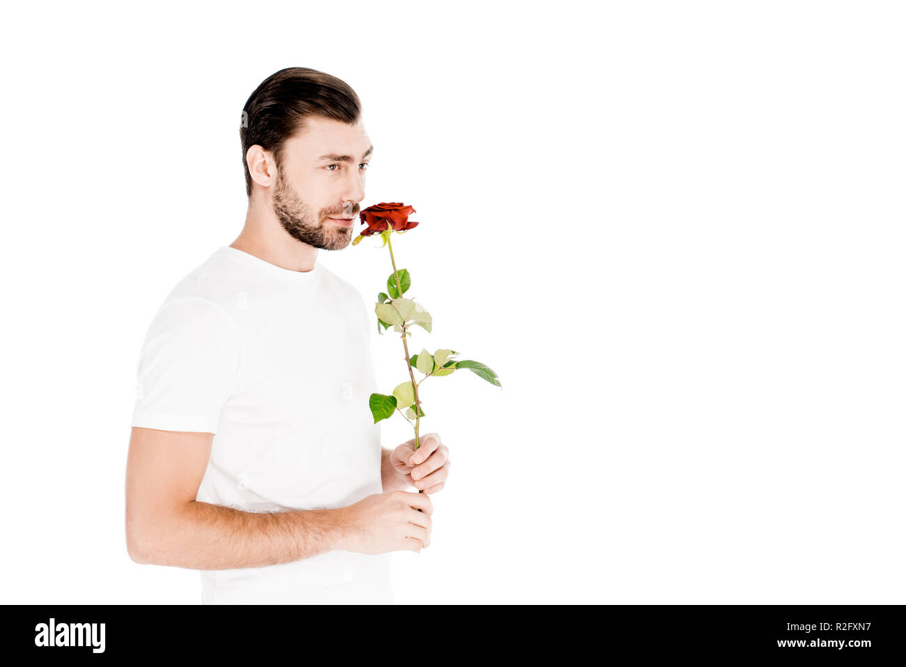 Schöner Mann riechen rote Rose auf weißen isoliert Stockfoto