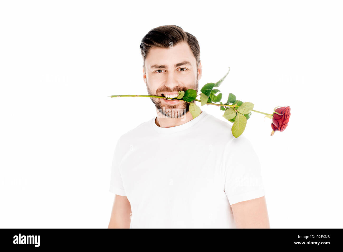 Stattlicher Mann mit roten im Mund Rose auf weißen isoliert Stockfoto