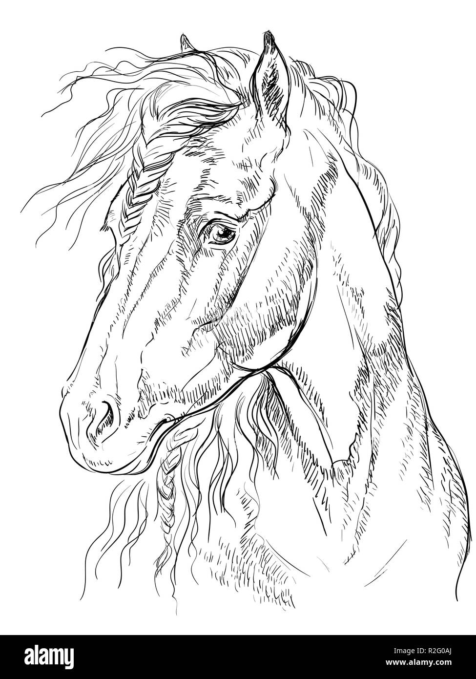 Horse Portrait. Pferdekopf im Profil in monochromen Farben auf weißem Hintergrund. Vektor hand Zeichnung Abbildung Stock Vektor