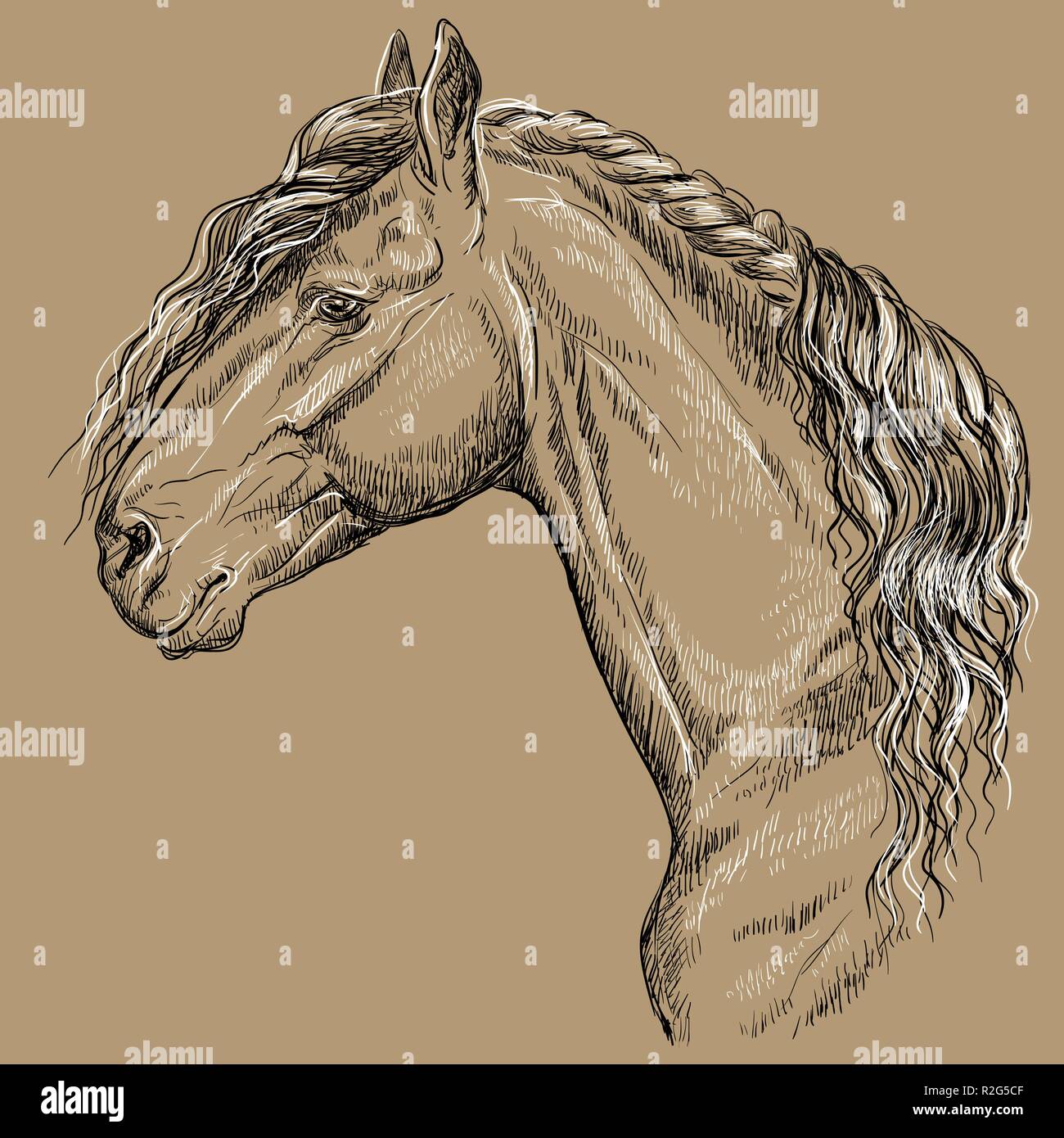 Friesenpferd portrait. Pferd Kopf mit langer Mähne im Profil in den Farben Schwarz und Weiß auf beige Hintergrund isoliert. Vektor hand Zeichnung Abbildung Stock Vektor Friesenpferd portrait. Pferd Kopf mit langer Mähne im Profil in den Farben Schwarz und Weiß auf beige Hintergrund isoliert. Vektor hand Zeichnung Abbildung Stock Vektor