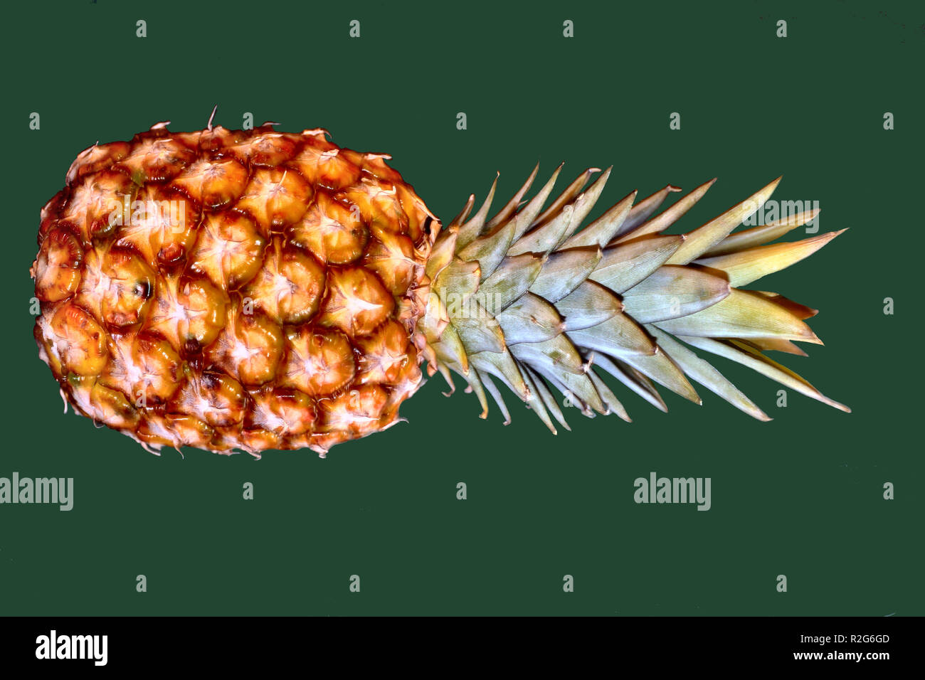 Ananas 1. Stockfoto