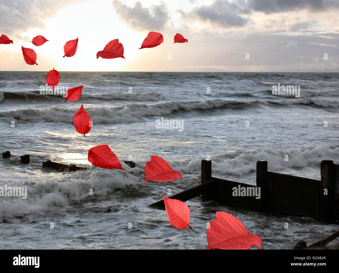 Rote Blätter Stockfoto