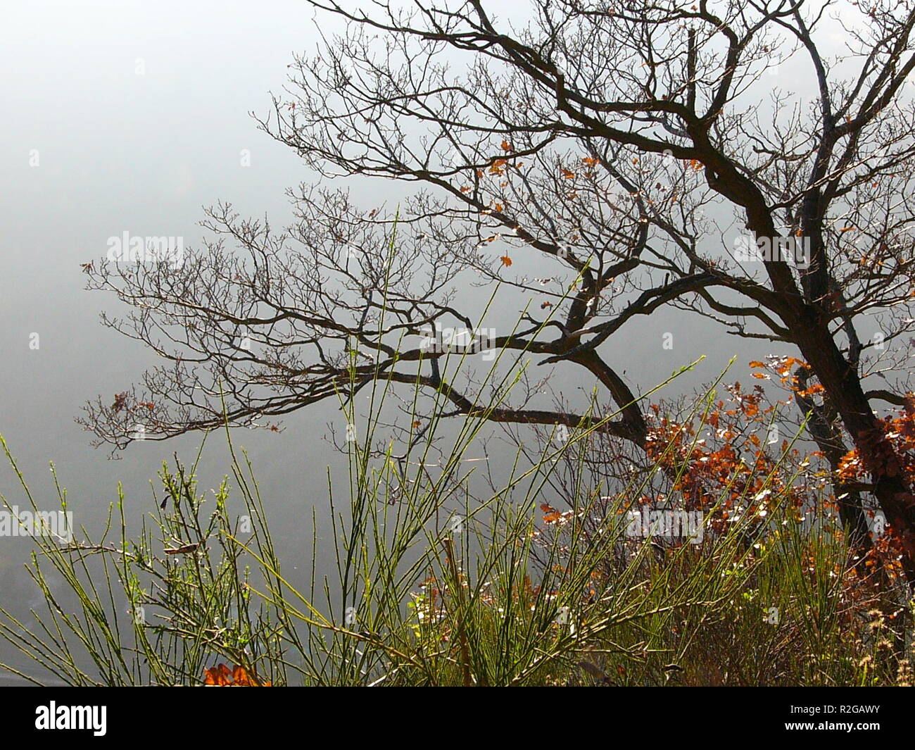 November Stimmung Stockfoto