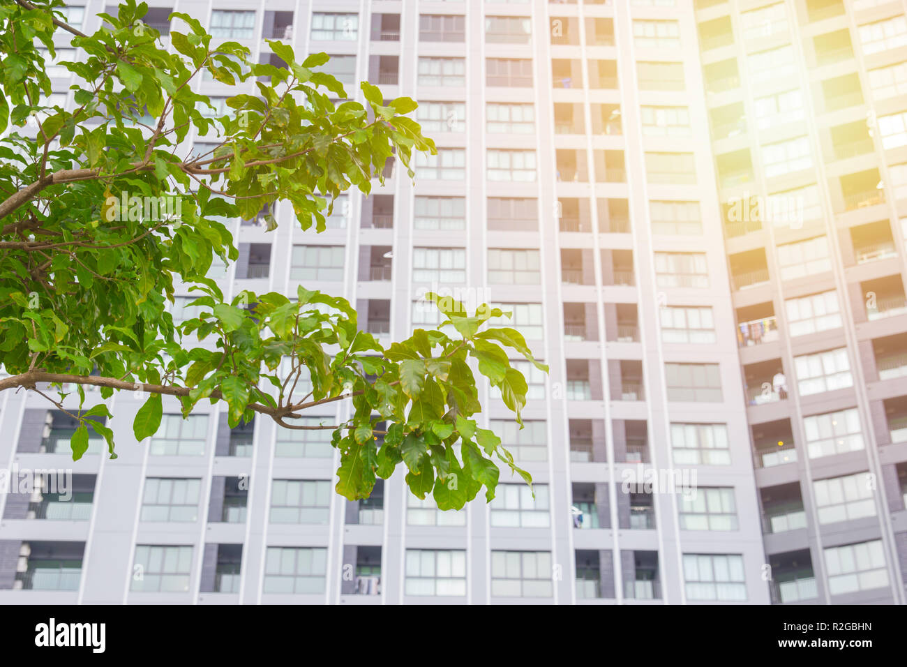 Green Building eco Umwelt der Stadt Eigentumswohnung outdoor. Stockfoto