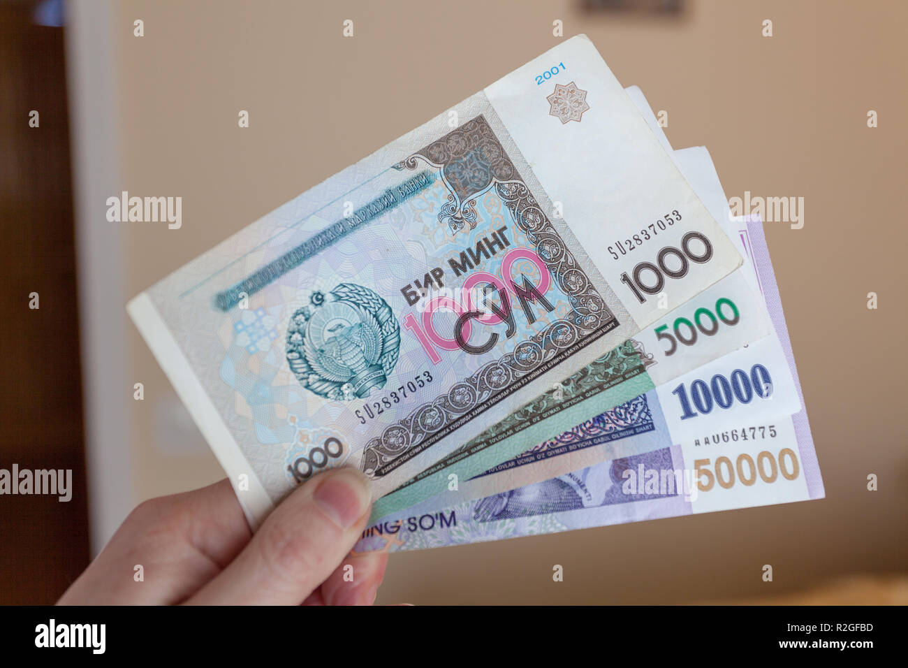 Usbekischer Som, Usbekistan Stockfoto