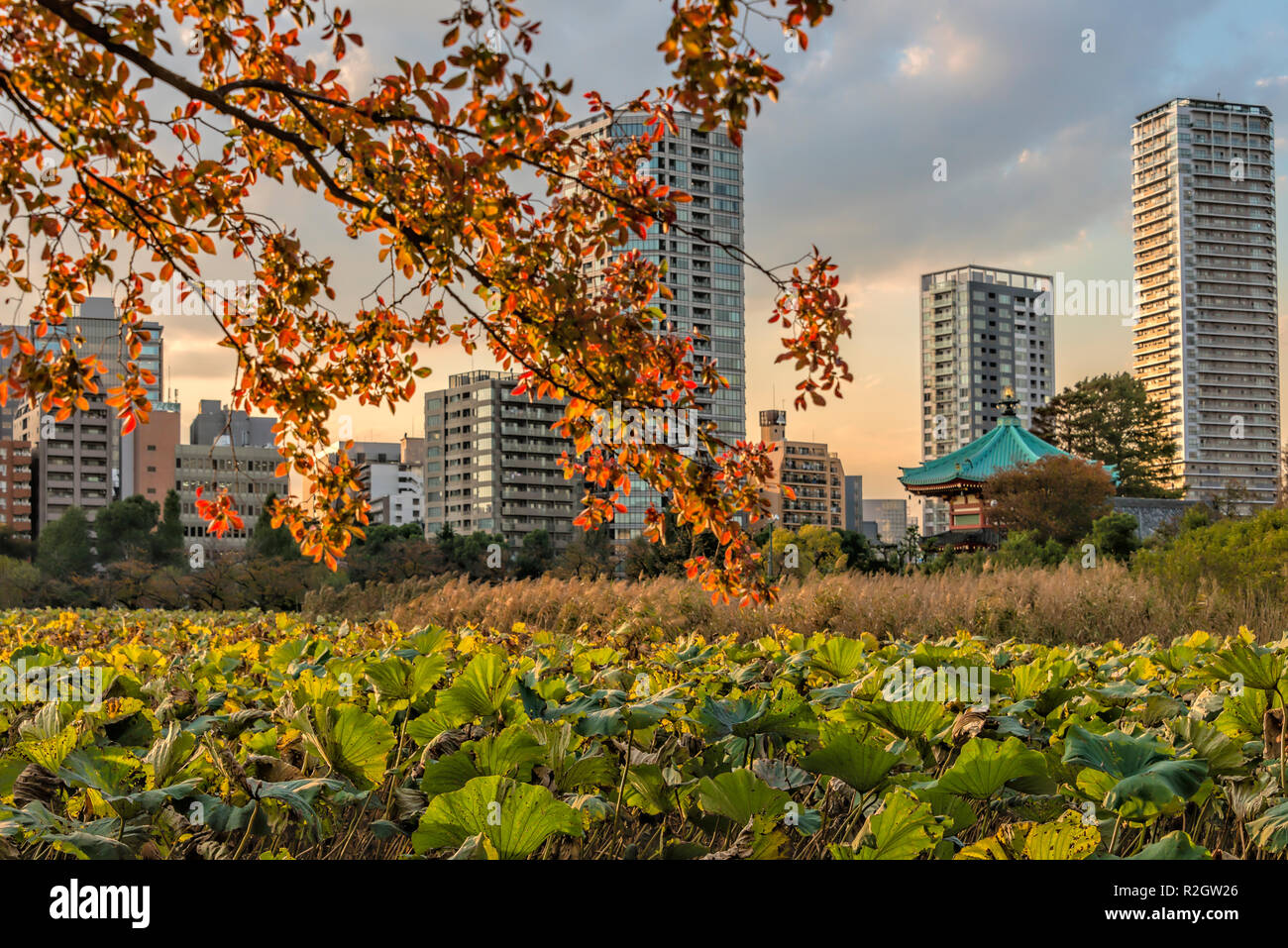 Herbst im Benten Do Tempel im Shinobazu Teich im Ueno Park, Tokyo, Japan Stockfoto