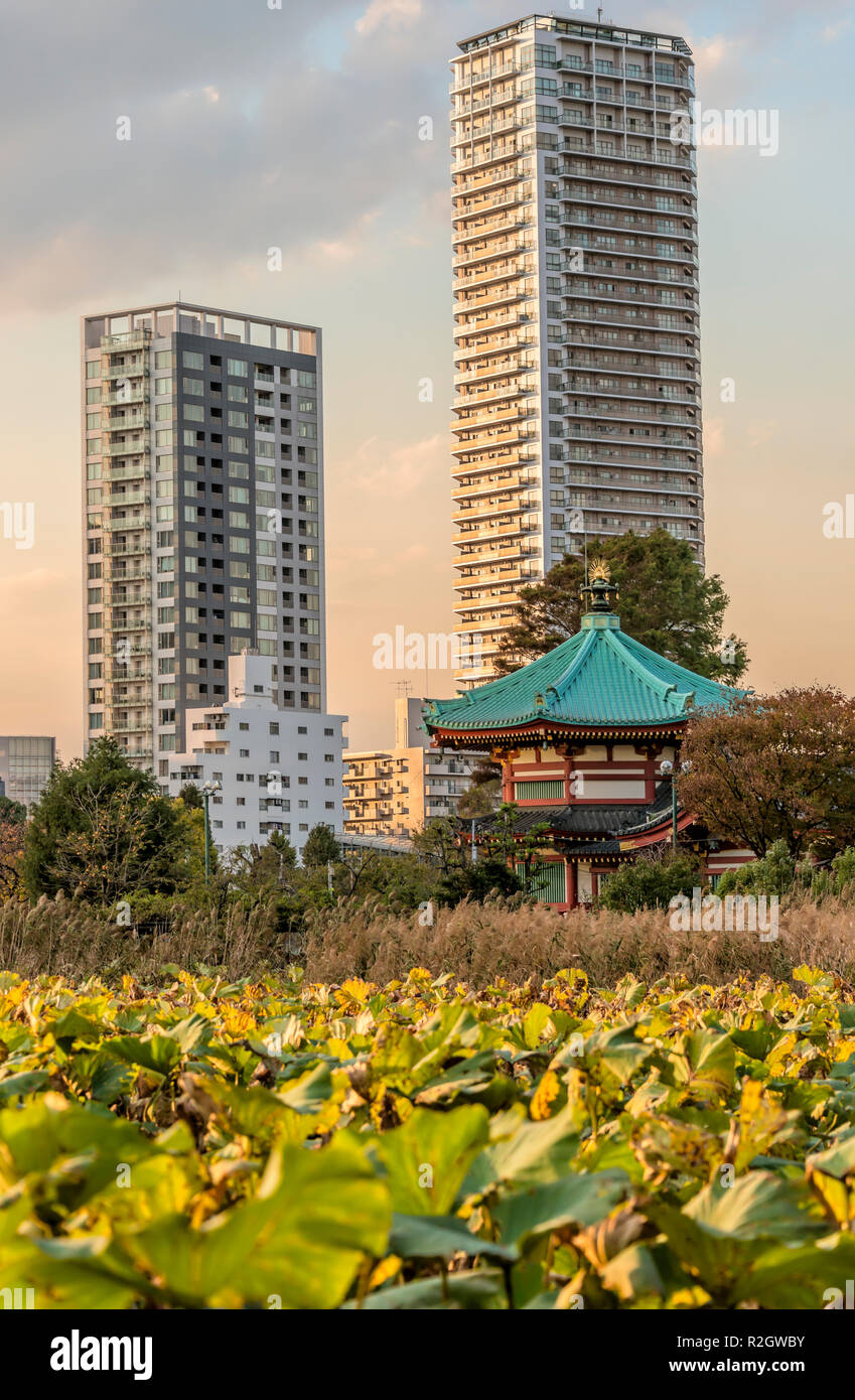 Herbst im Benten Do Tempel im Shinobazu Teich im Ueno Park, Tokyo, Japan Stockfoto