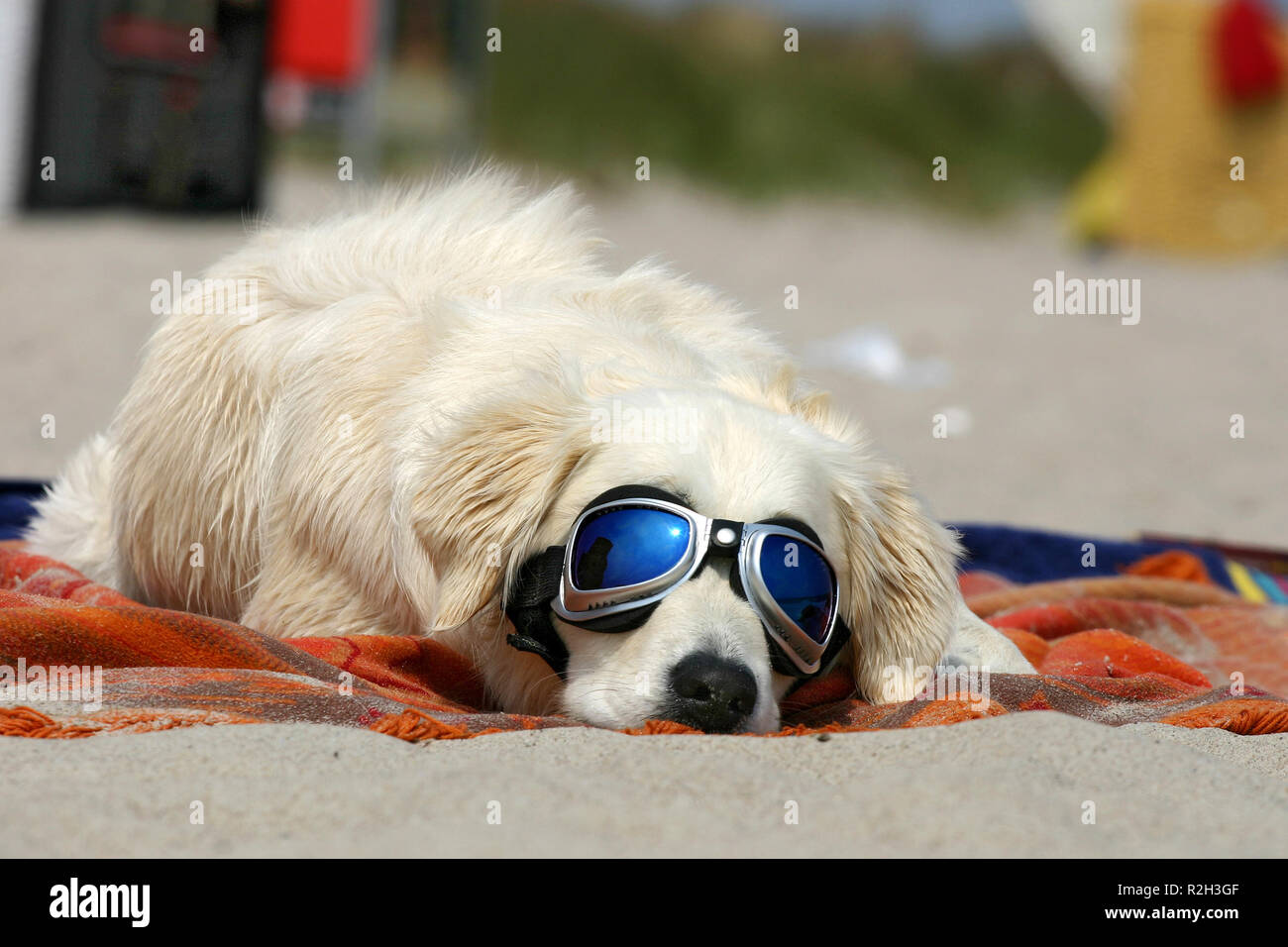 Sonnenbaden Stockfoto