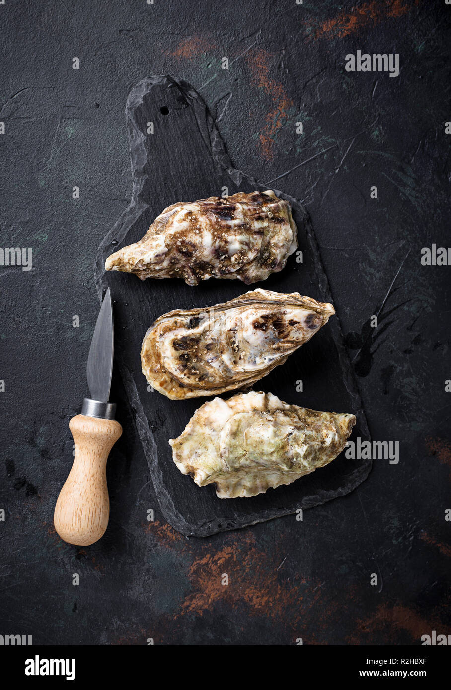 Frische Austern auf dunklem Hintergrund Stockfoto