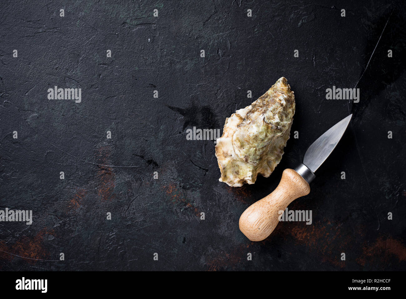 Frische Austern auf dunklem Hintergrund Stockfoto