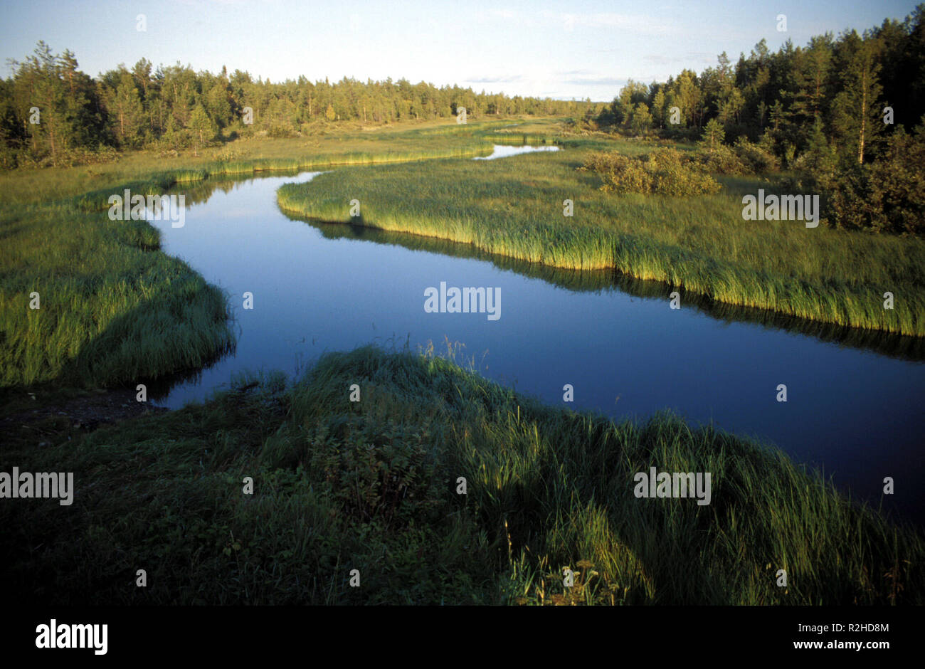 Hallviken Stockfoto