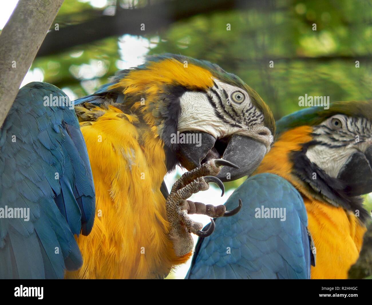 Wartung Stockfoto