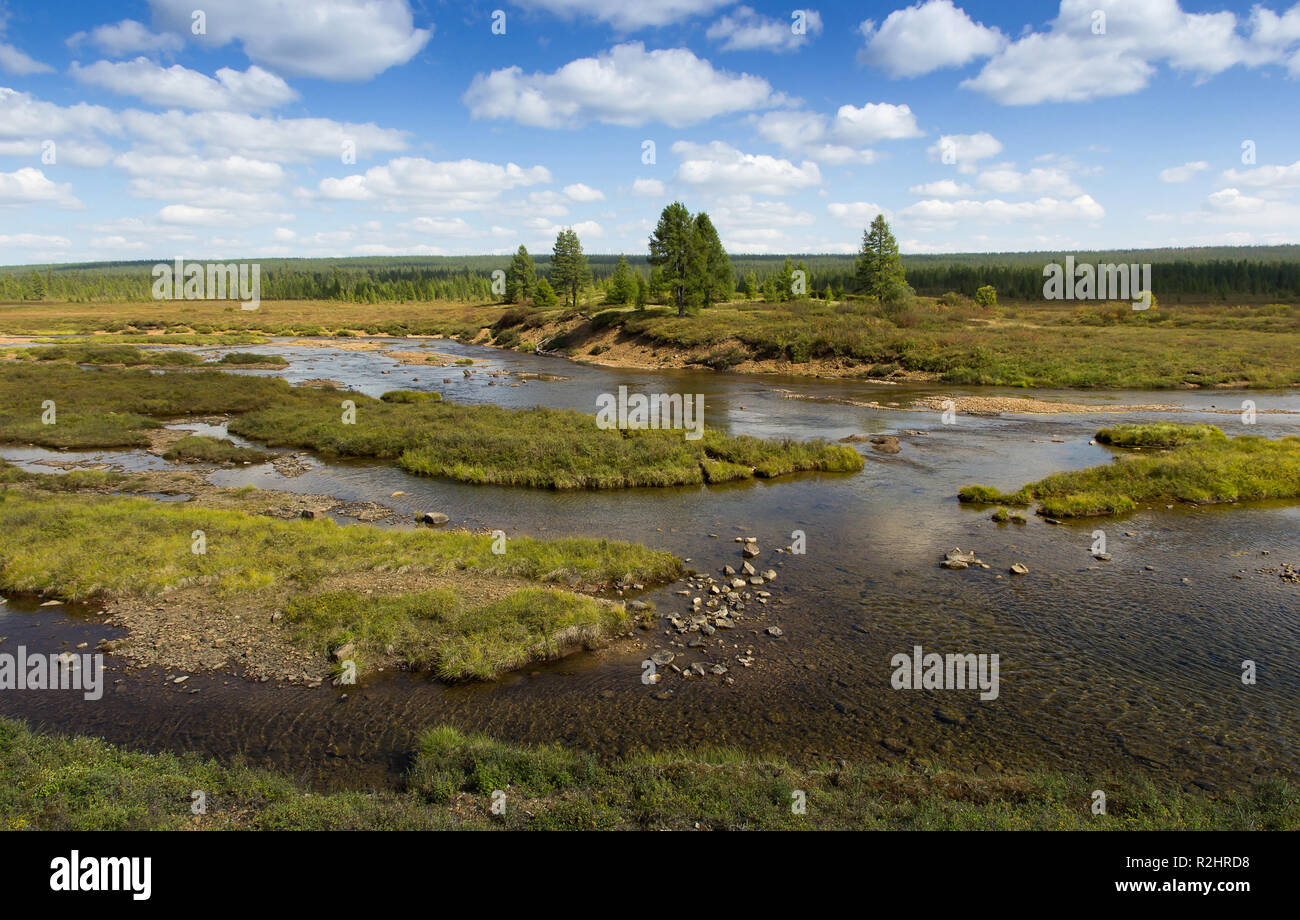 Ein kleiner Fluss Tal im Süden Jakutien Sommer Stockfoto