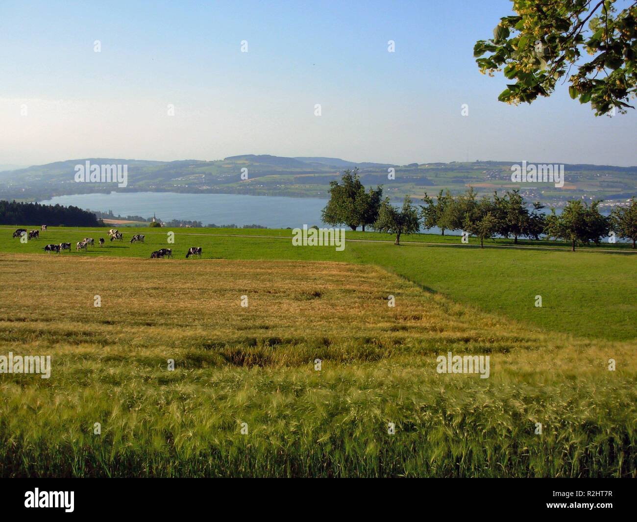 meine Heimat Stockfoto