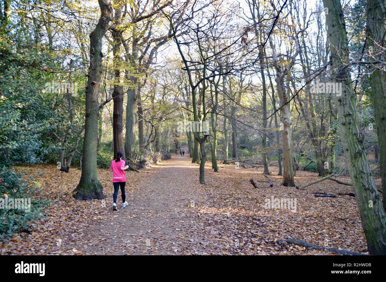 Historische highgate wood North London N10 England Stockfoto