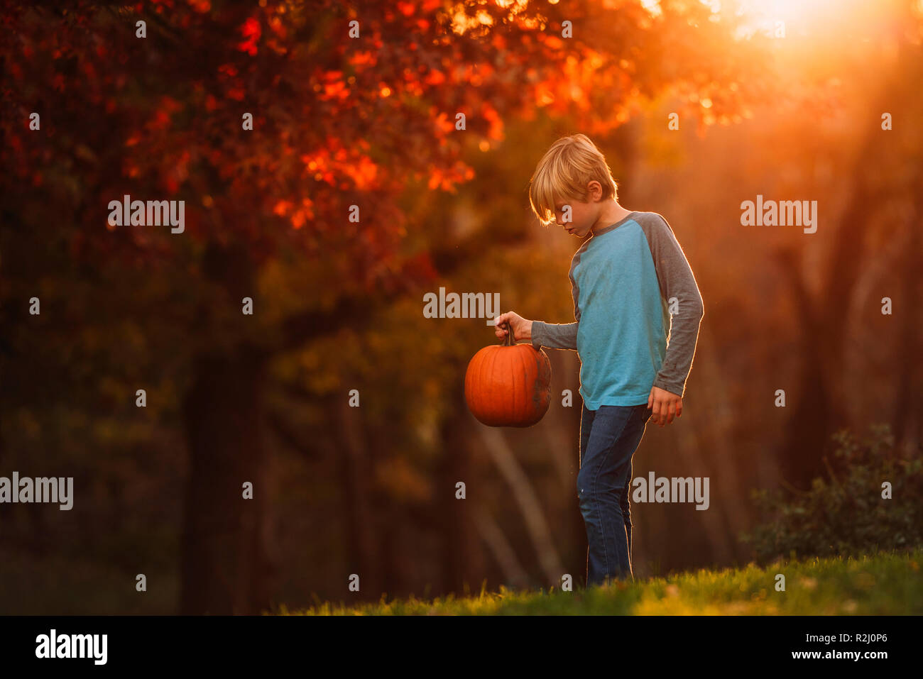 Junge in einen Garten mit einem Kürbis stehend, United States Stockfoto