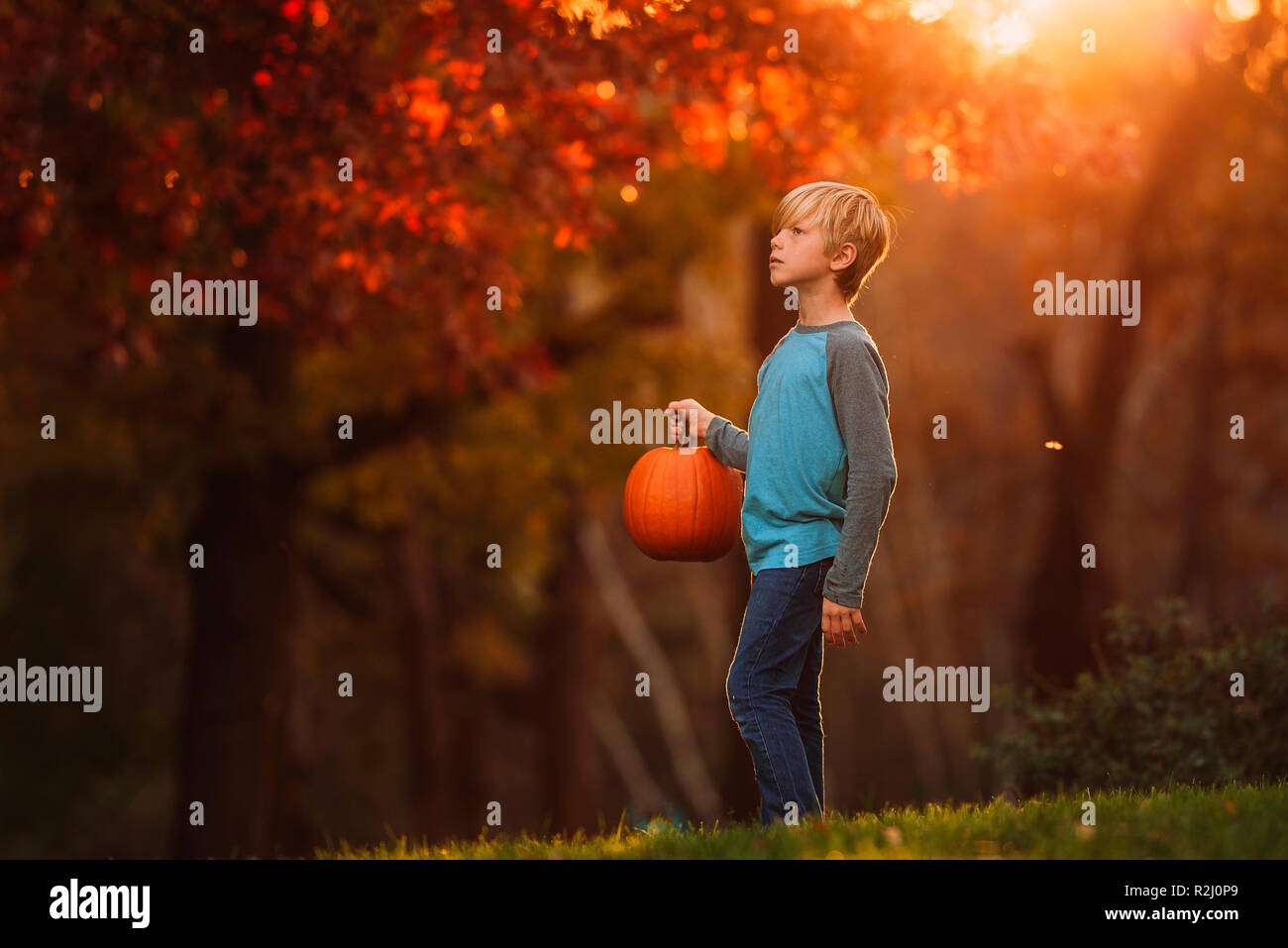 Junge in einen Garten mit einem Kürbis stehend, United States Stockfoto