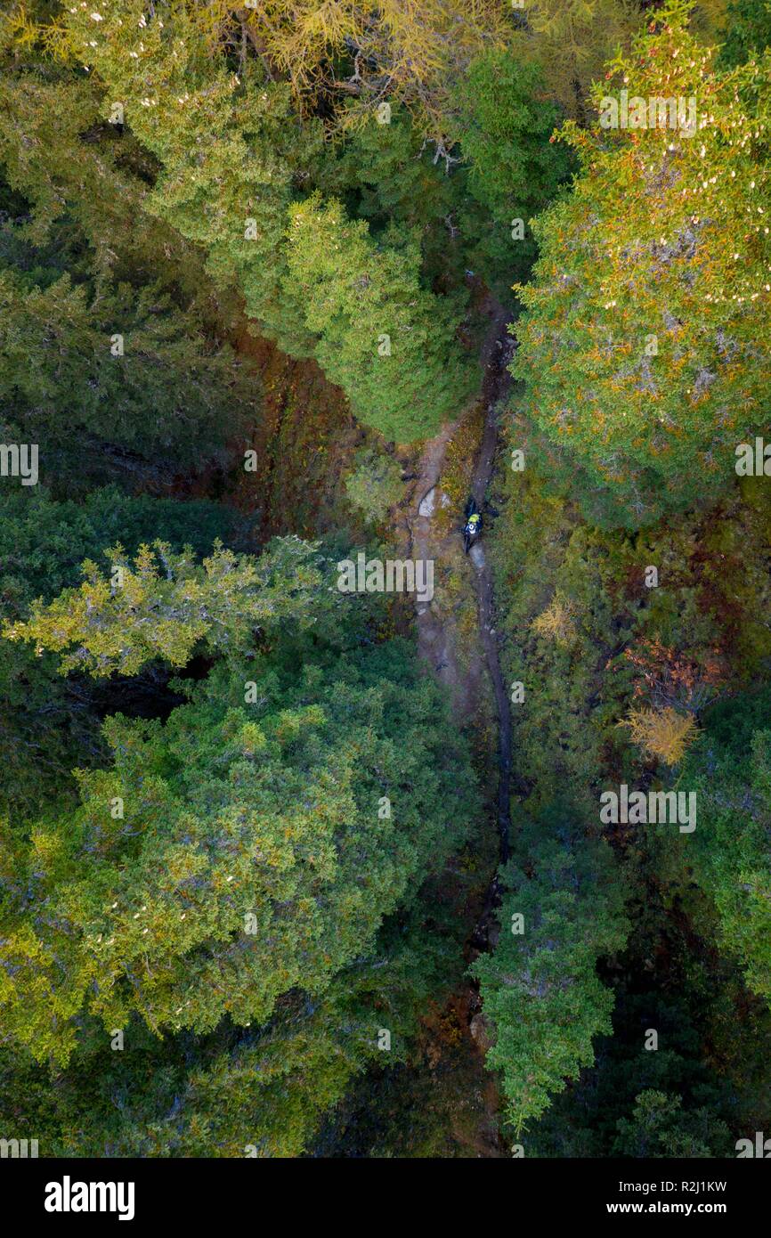Luftaufnahme von einer Frau mit dem Mountainbike in den österreichischen Alpen, Gastein, Salzburg, Österreich Stockfoto