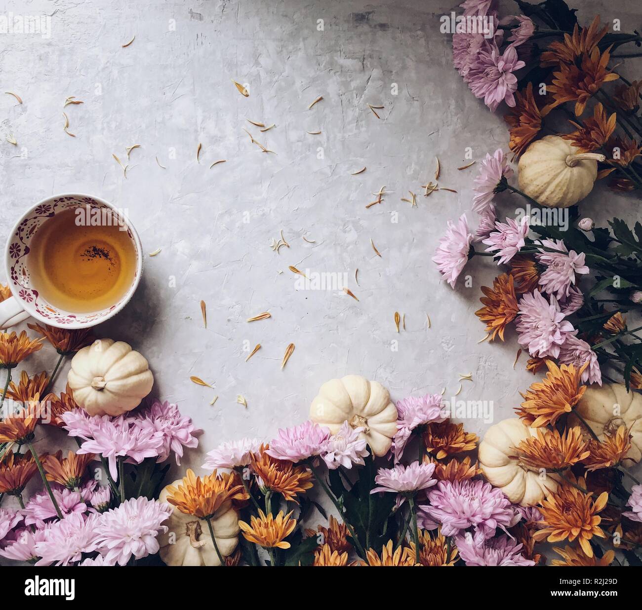 Tasse Tee, Kürbisse und Herbst Blumen Stockfoto