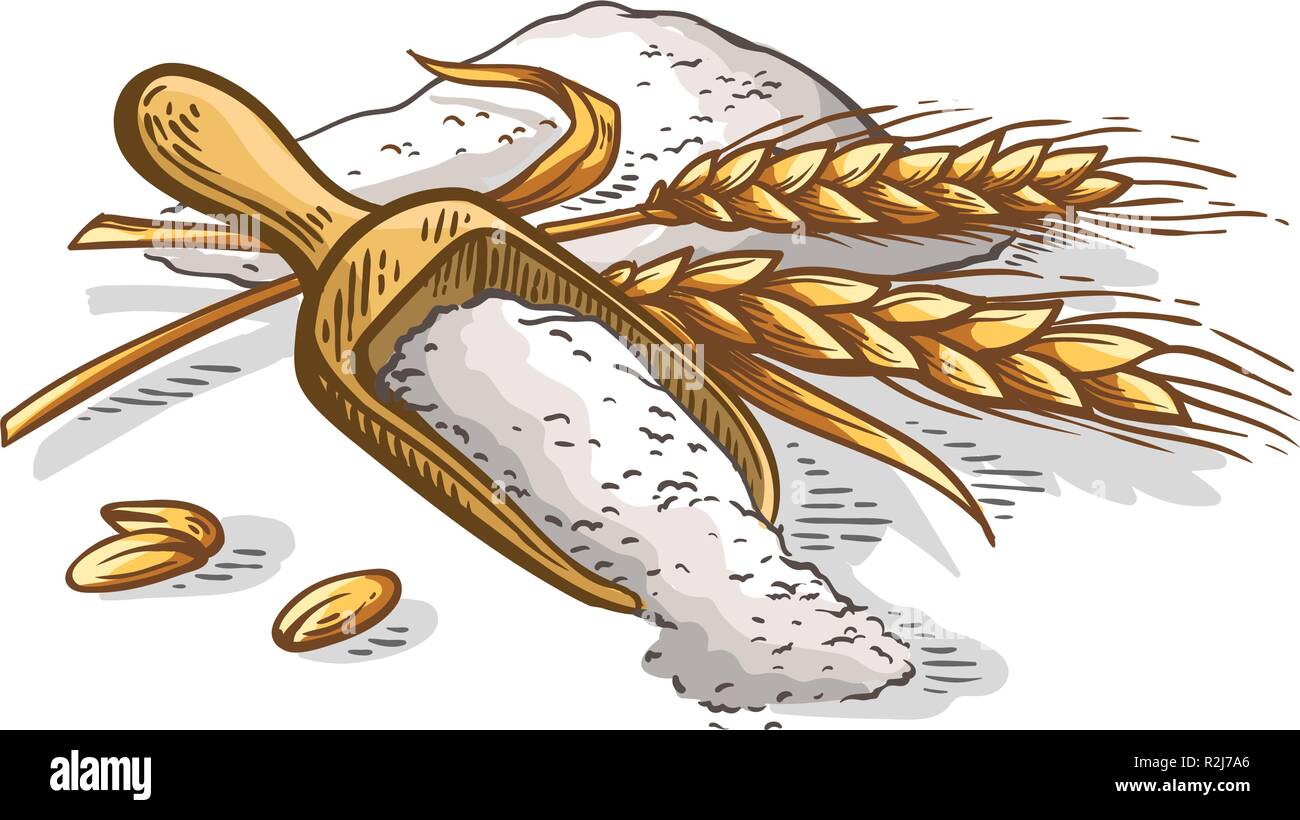 Bunte Holz- Schaufel von frischen Ohren von Weizenmehl auf weißem Hintergrund Vector Illustration Stock Vektor