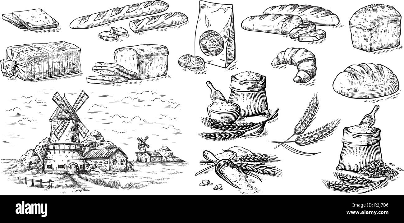 Sammlung von natürlichen Elementen Brot und Mehl Mühle Skizze Vector Illustration Stock Vektor