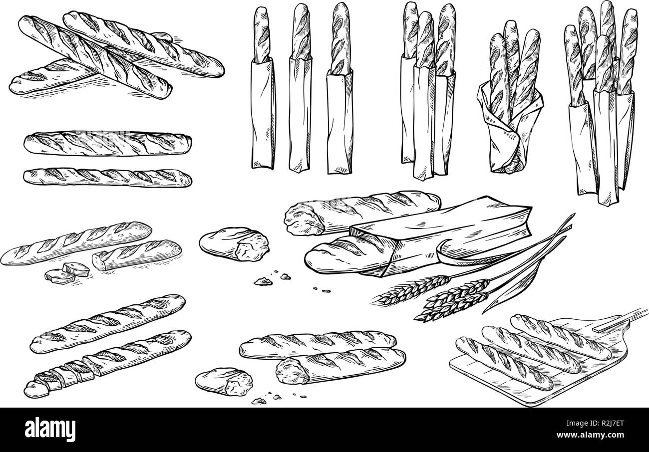 Sammlung von natürlichen Elementen Brot und Mehl Skizze Vector Illustration Stock Vektor