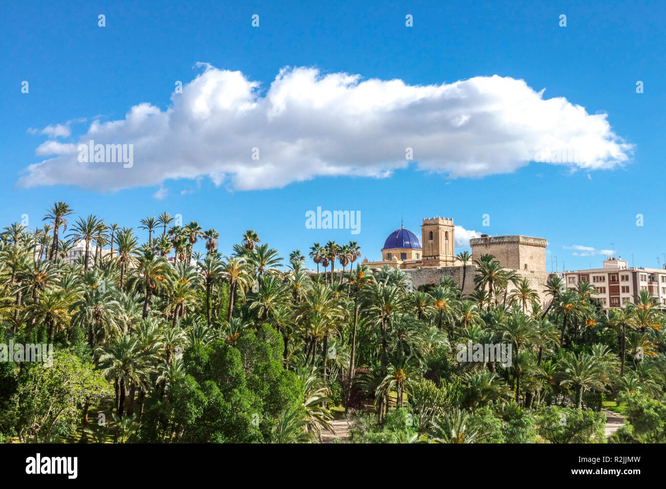 Elche Spanien Europa Valencia Region UNESCO-Weltkulturerbe, Elche Palmenhain Landschaft und Wolkenblick Parc Municipal El Palmeral Elche Stockfoto