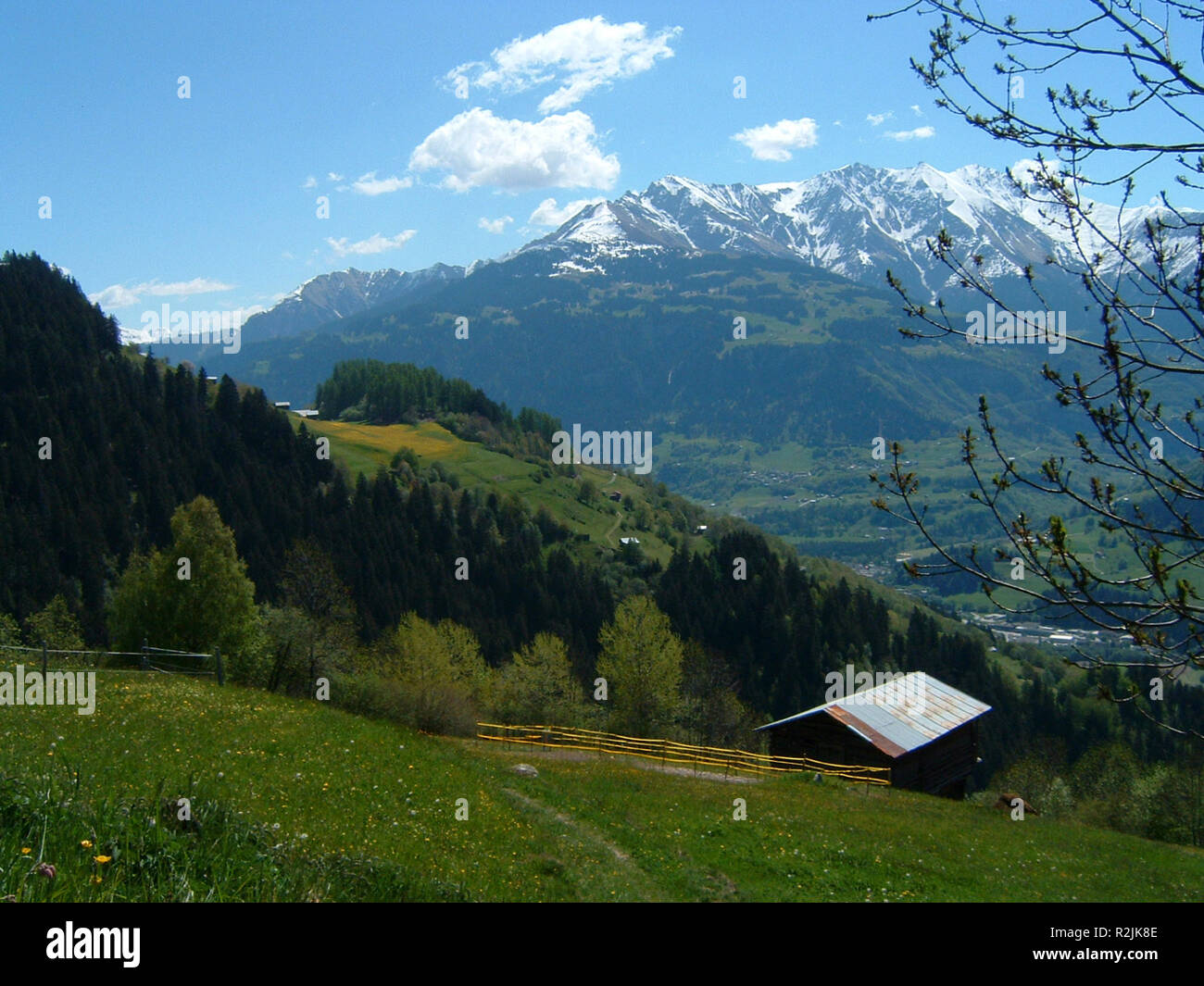 endlich Frühling Stockfoto