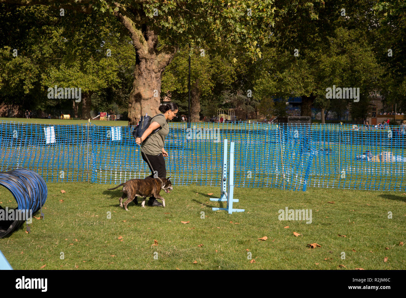 Hackney. London Felder. Dog show Stockfoto