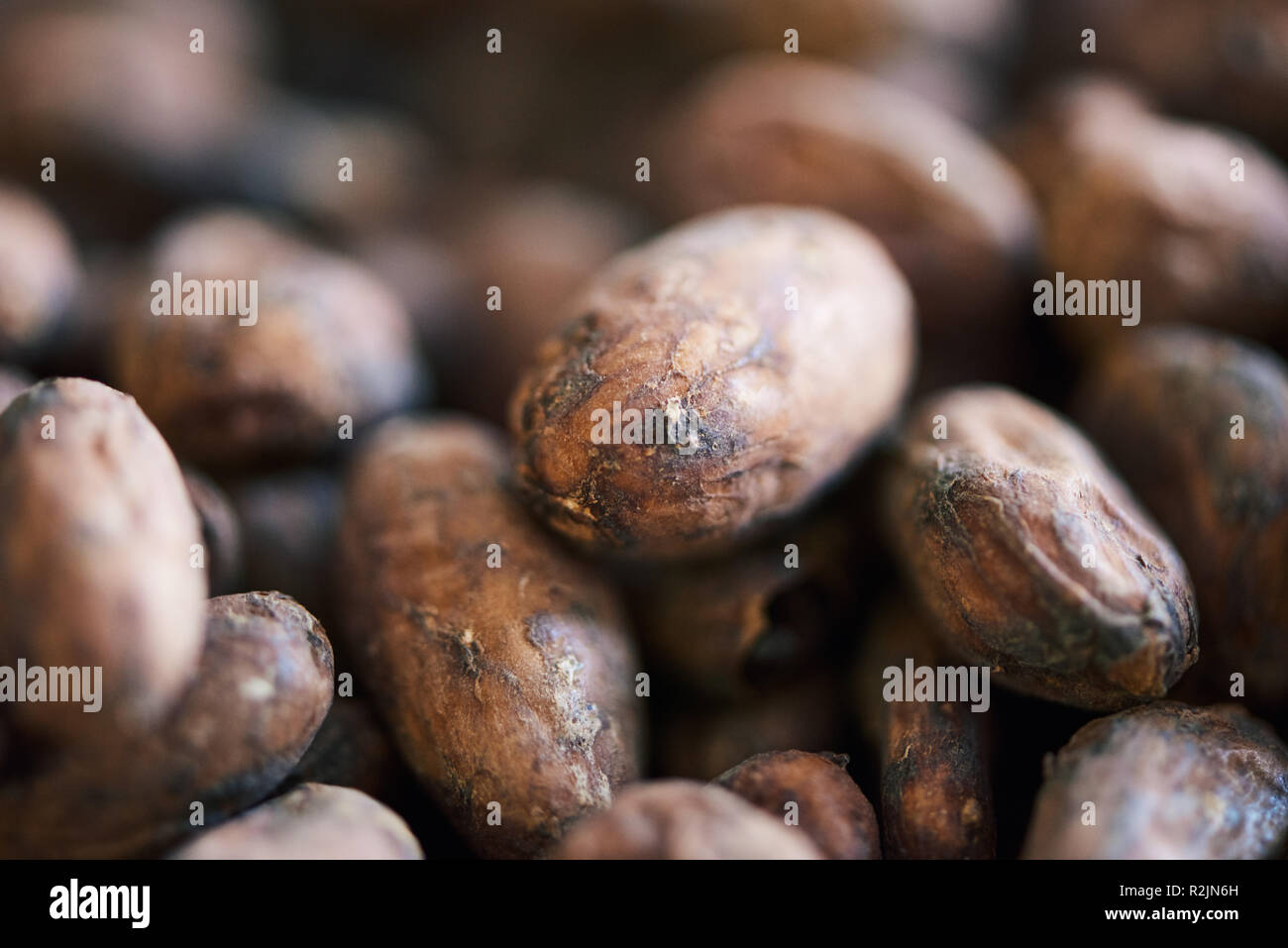 Getrockneten Kakaobohnen für Schokolade vorbereitet wird. Stockfoto