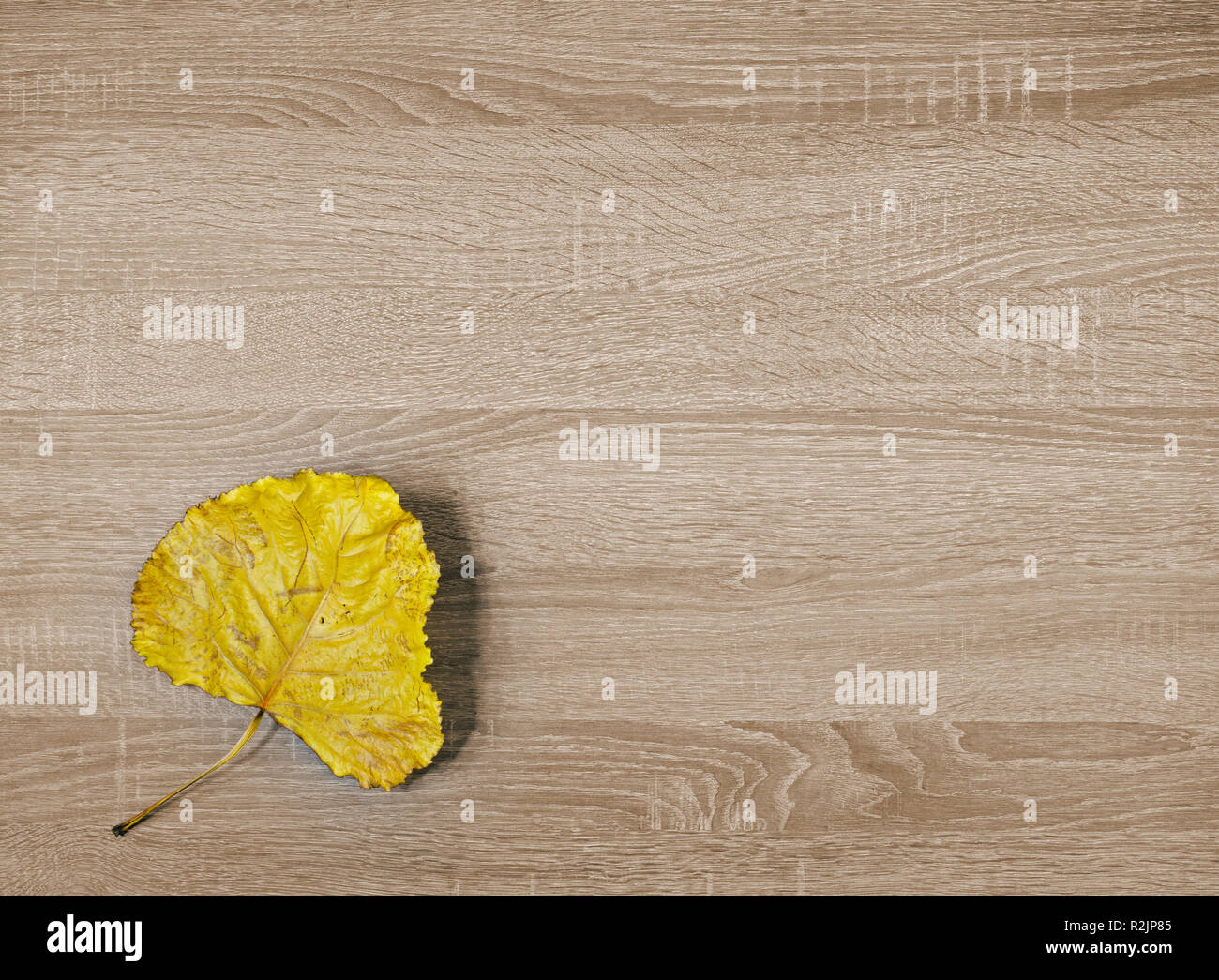 Trockene Blätter gelb auf braun Holz- Textur Hintergrund Stockfoto
