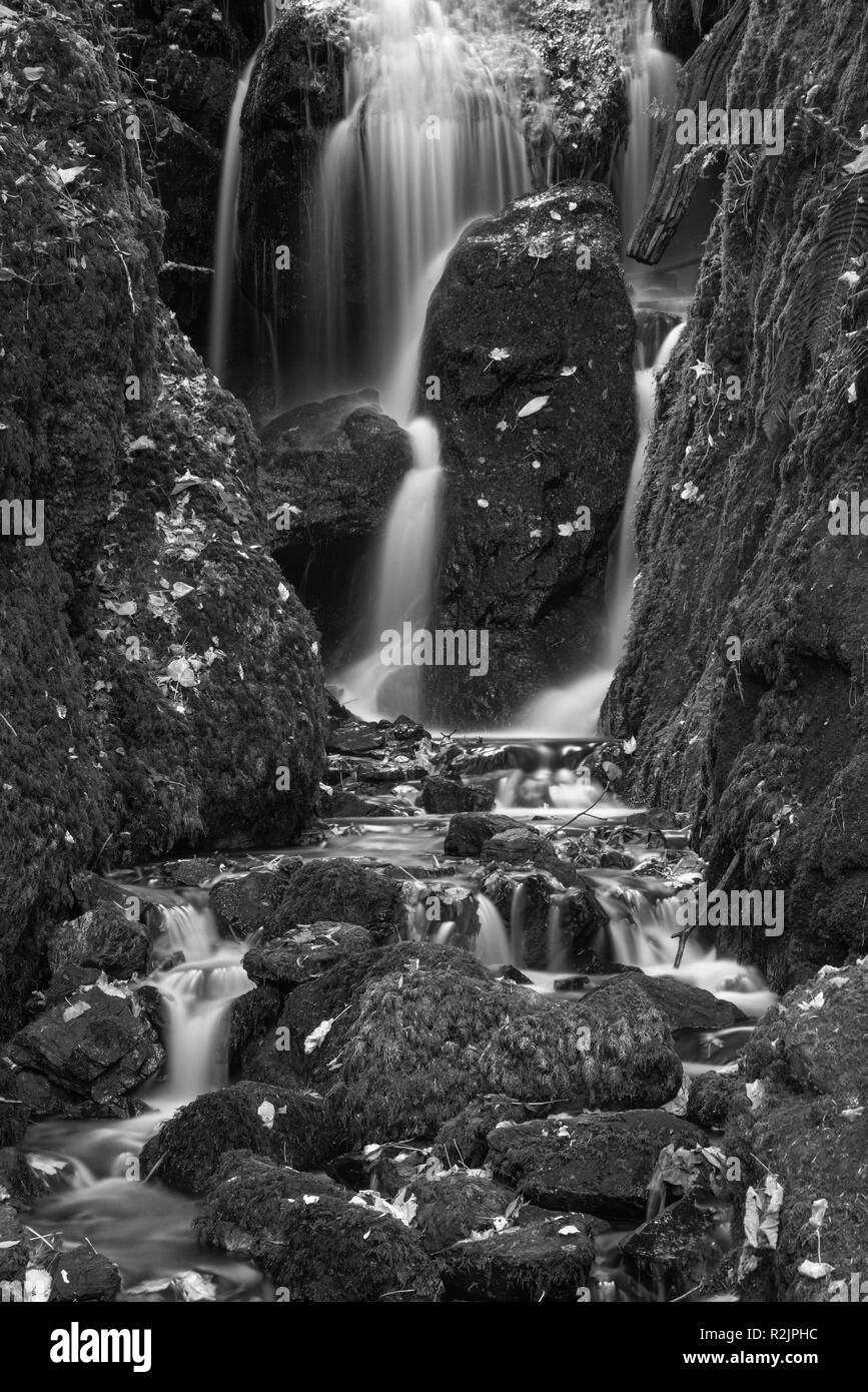 Atemberaubend hohen Wasserfall Landschaft Laub im frühen Herbst in Schwarz und Weiß Stockfoto