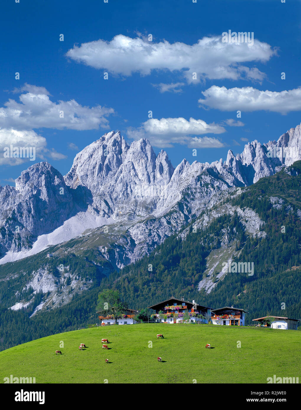 Österreich, Tirol, Kitzbühel, Farm gegen Ellmauer Halt/Wilder Kaiser Stockfoto