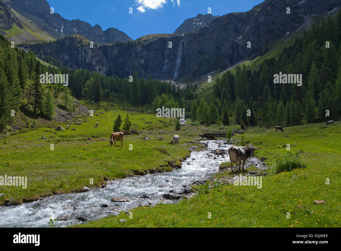 Österreich, Tirol, Oberinntal, Stalanzer Alm in der Nähe von Ried Stockfoto